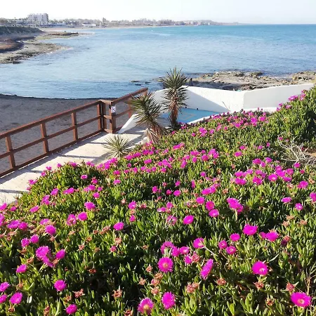 Cozy Studio In * Torrevieja