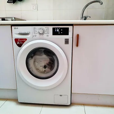 Apartamento Cozy Studio In *